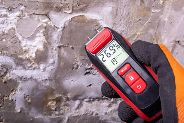 Best Residential Mold Removal  in Roan Mountain, TN