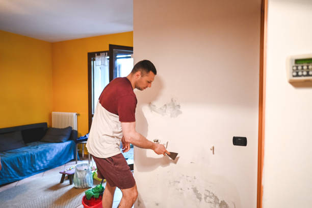 Best Mold Cleaning Services  in Roan Mountain, TN
